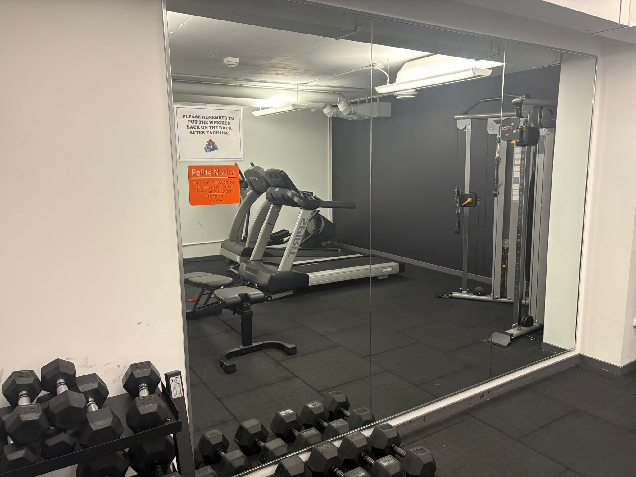 Mirrored weight area in the building gym