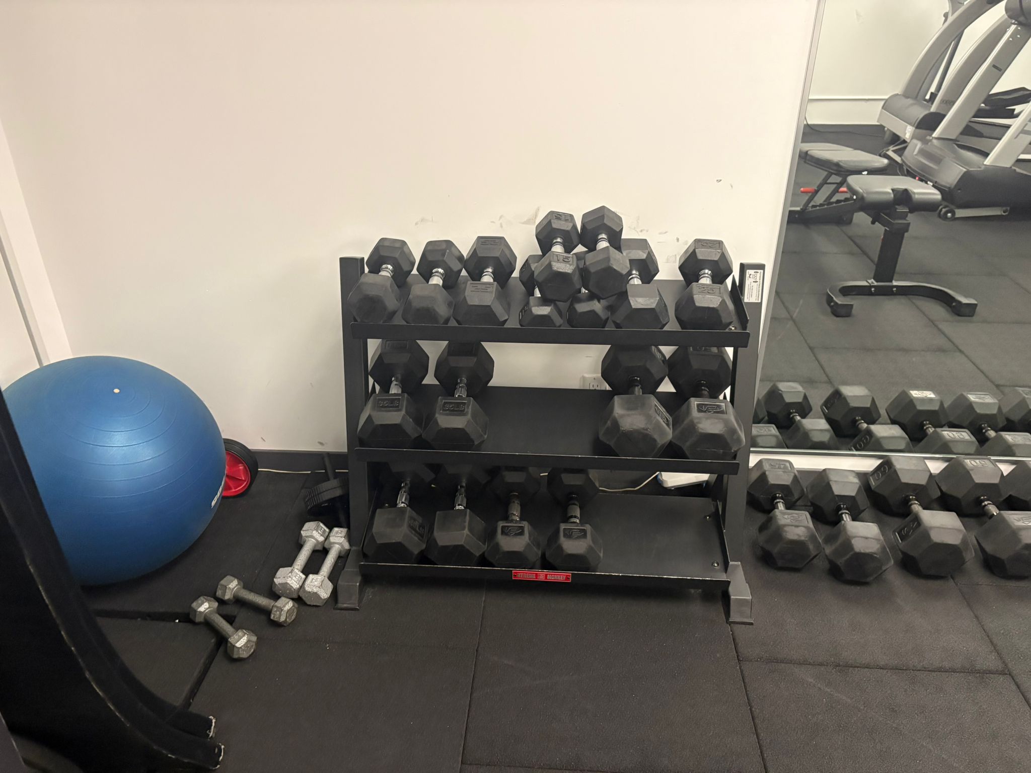 Free weights and stability ball in the building gym